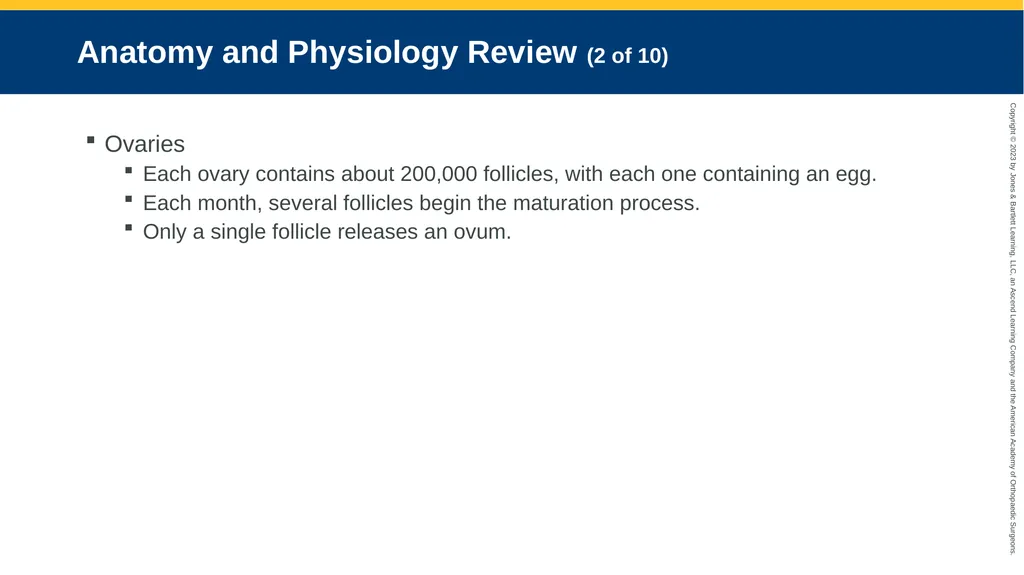 Obstetrics CHAPTER 42 Introduction Pregnancy is - slide 5 of 182