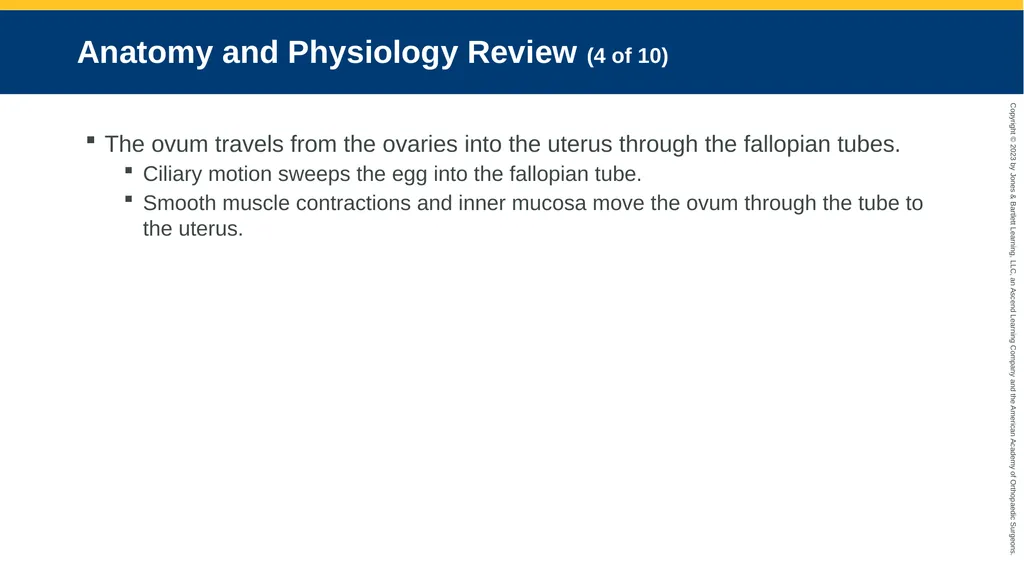 Obstetrics CHAPTER 42 Introduction Pregnancy is - slide 7 of 182