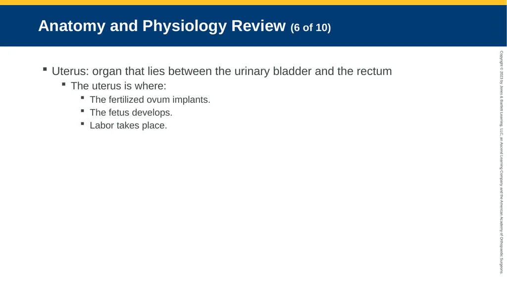 Obstetrics CHAPTER 42 Introduction Pregnancy is - slide 9 of 182