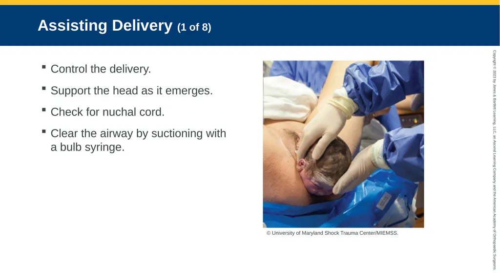 Obstetrics CHAPTER 42 Introduction Pregnancy is - slide 112 of 182
