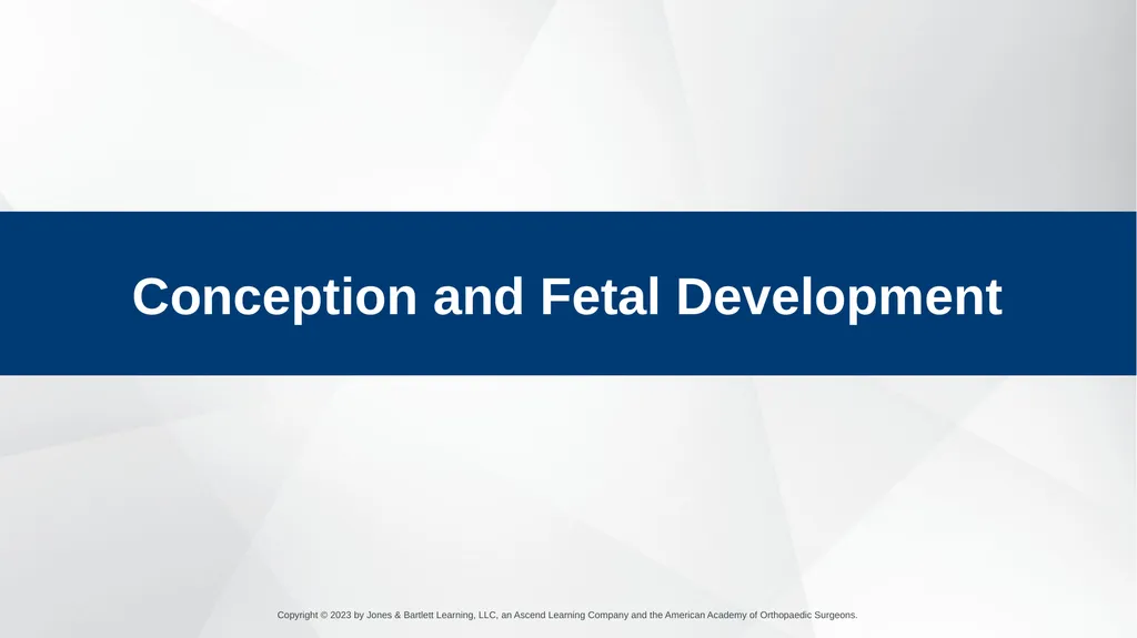 Obstetrics CHAPTER 42 Introduction Pregnancy is - slide 14 of 182