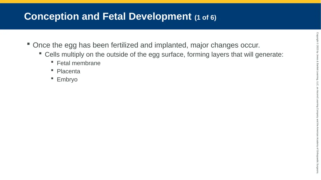 Obstetrics CHAPTER 42 Introduction Pregnancy is - slide 15 of 182