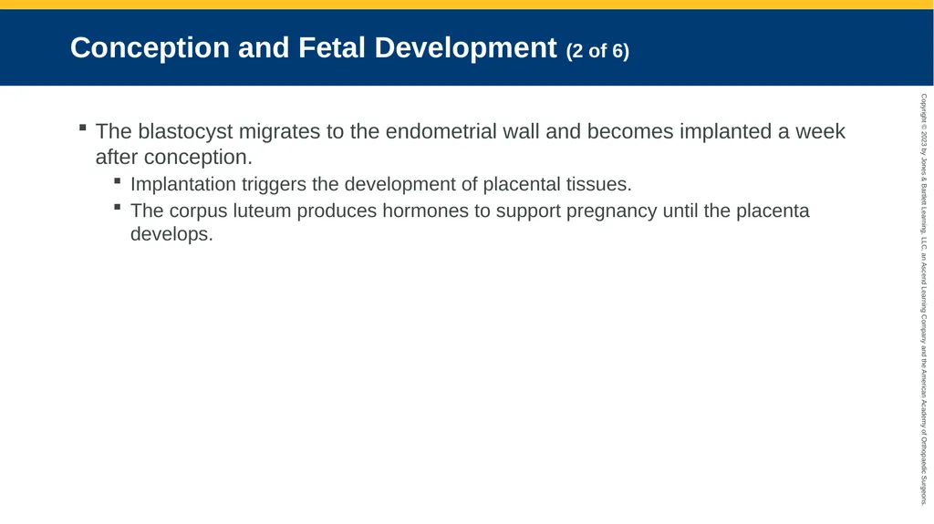 Obstetrics CHAPTER 42 Introduction Pregnancy is - slide 16 of 182