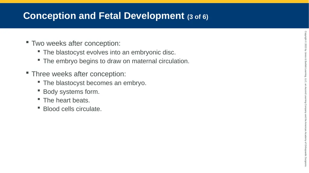 Obstetrics CHAPTER 42 Introduction Pregnancy is - slide 17 of 182