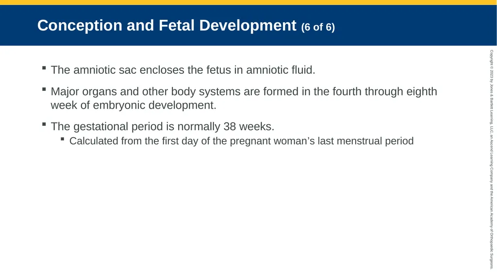 Obstetrics CHAPTER 42 Introduction Pregnancy is - slide 20 of 182