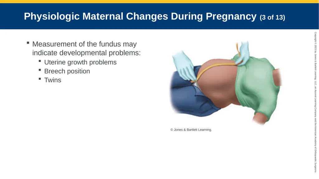 Obstetrics CHAPTER 42 Introduction Pregnancy is - slide 24 of 182