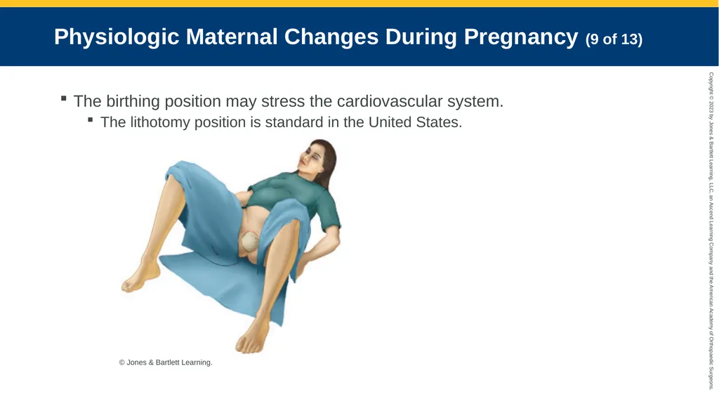 Obstetrics CHAPTER 42 Introduction Pregnancy is - slide 30 of 182