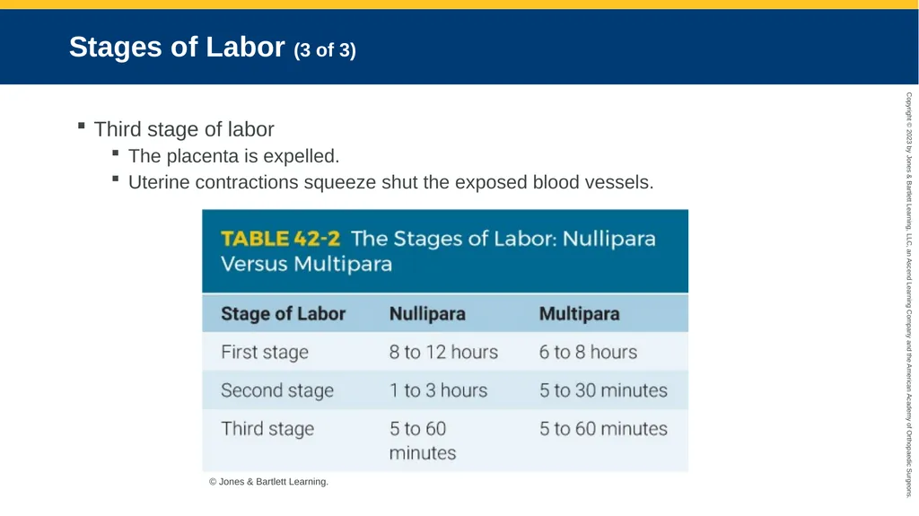 Obstetrics CHAPTER 42 Introduction Pregnancy is - slide 104 of 182