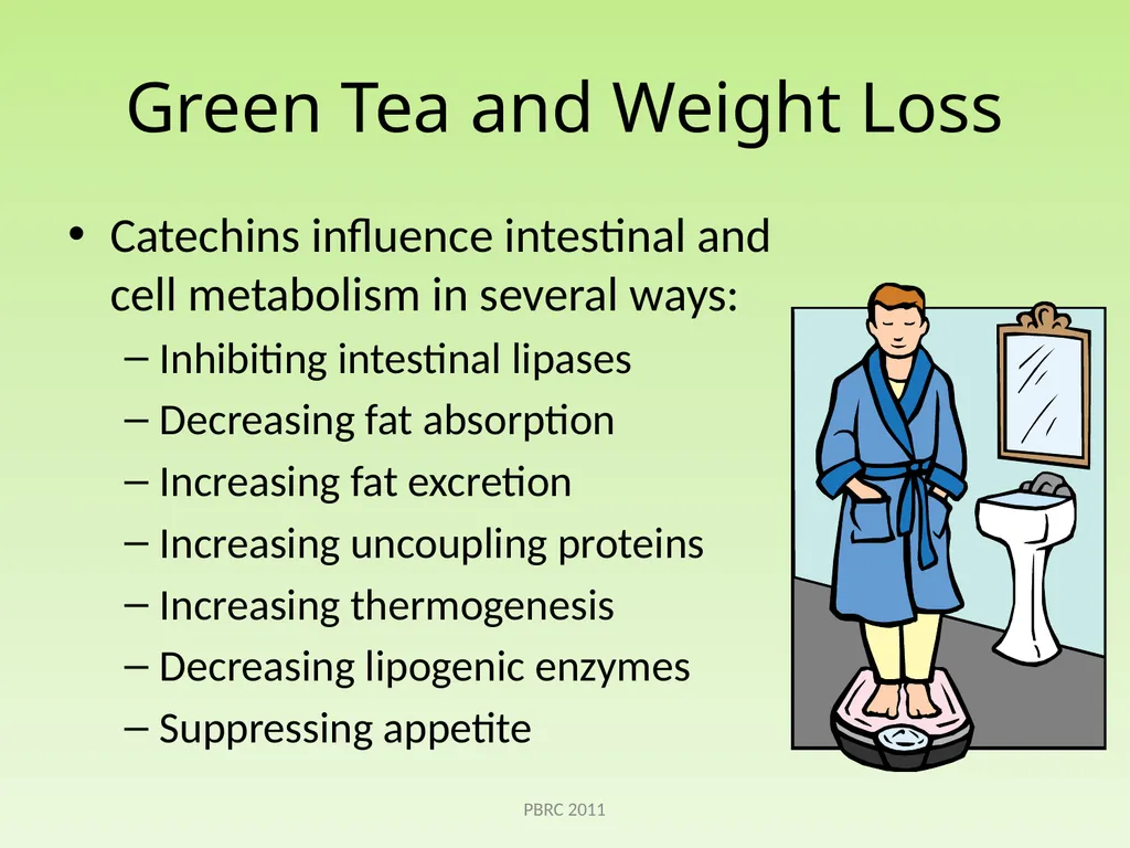Green Tea Beth Kalicki Heli Roy, PhD, RD Division - slide 8 of 19