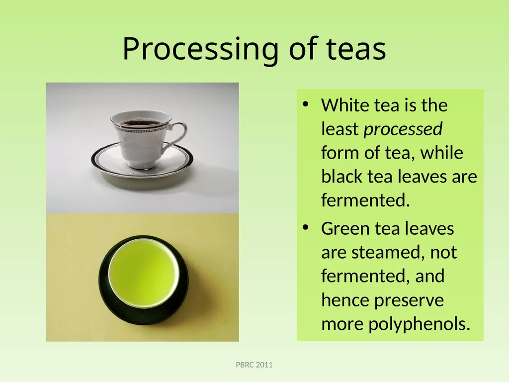 Green Tea Beth Kalicki Heli Roy, PhD, RD Division - slide 3 of 19