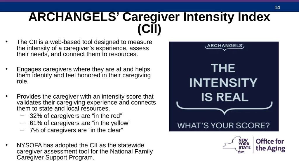 New York State Office for the Aging: Expanding - slide 14 of 27