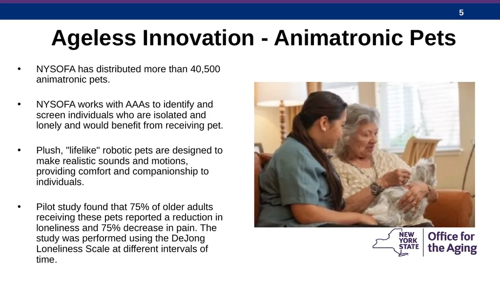 New York State Office for the Aging: Expanding - slide 5 of 27