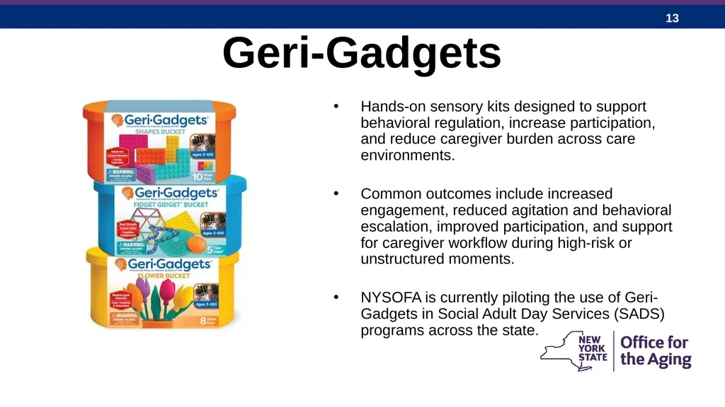New York State Office for the Aging: Expanding - slide 13 of 27
