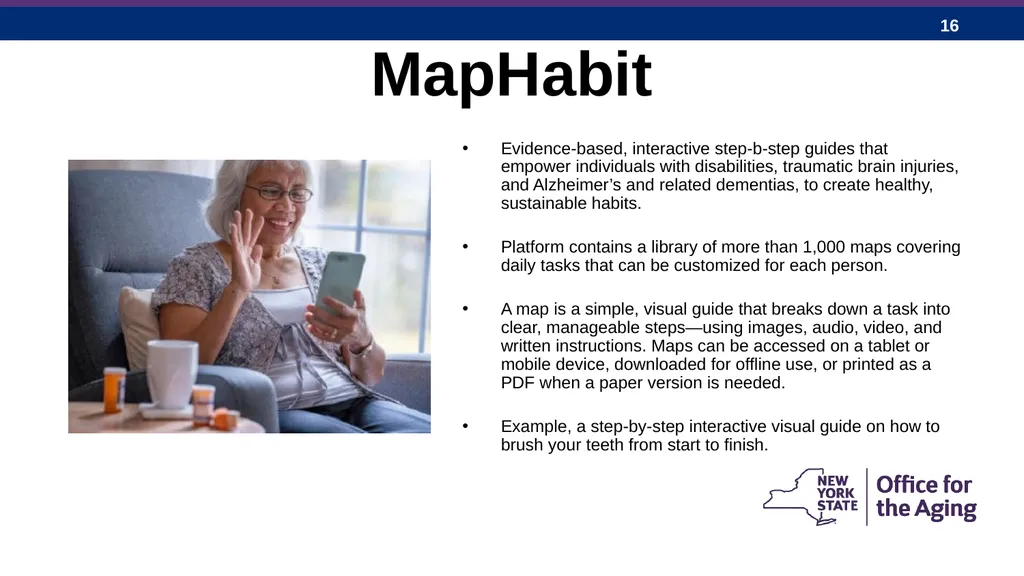 New York State Office for the Aging: Expanding - slide 16 of 27