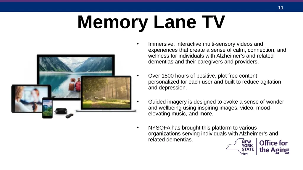 New York State Office for the Aging: Expanding - slide 11 of 27