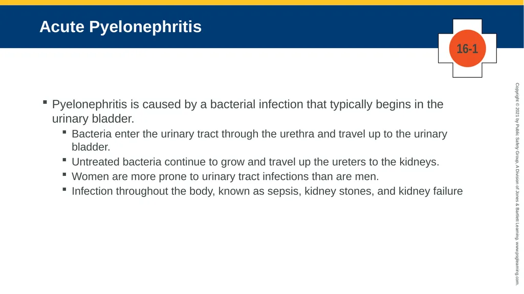 CHAPTER 16 Gastrointestinal, Genitourinary, and - slide 32 of 74