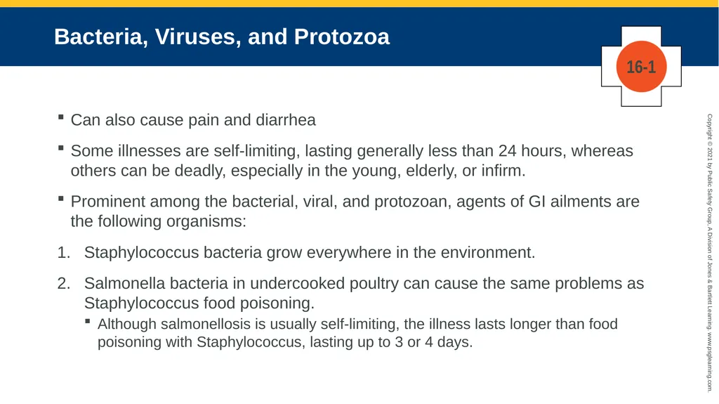 CHAPTER 16 Gastrointestinal, Genitourinary, and - slide 20 of 74
