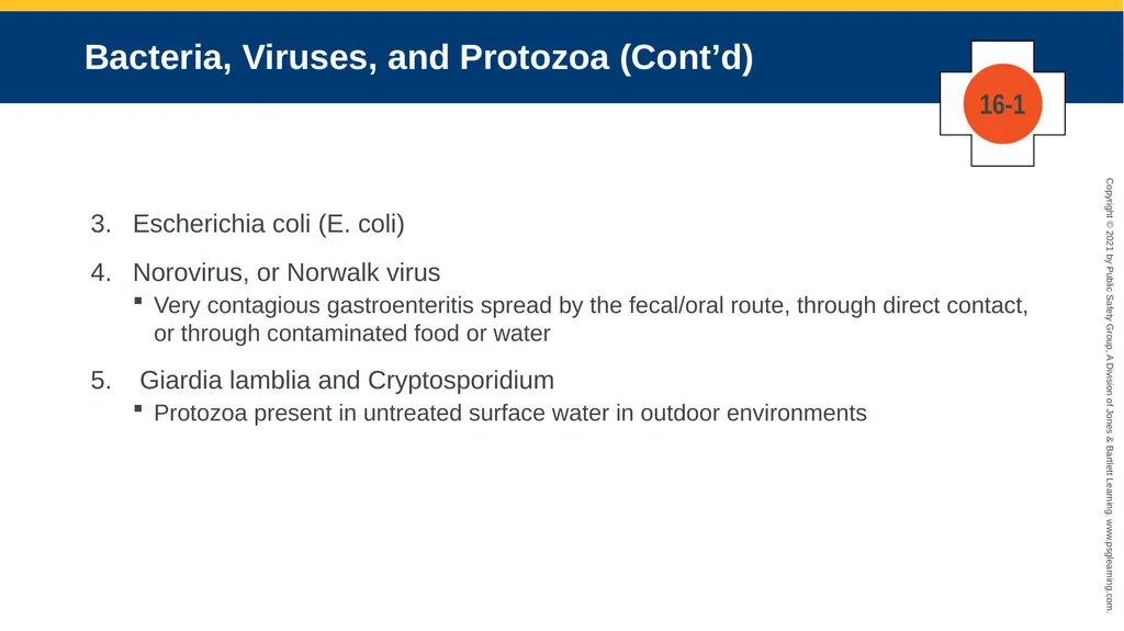CHAPTER 16 Gastrointestinal, Genitourinary, and - slide 21 of 74