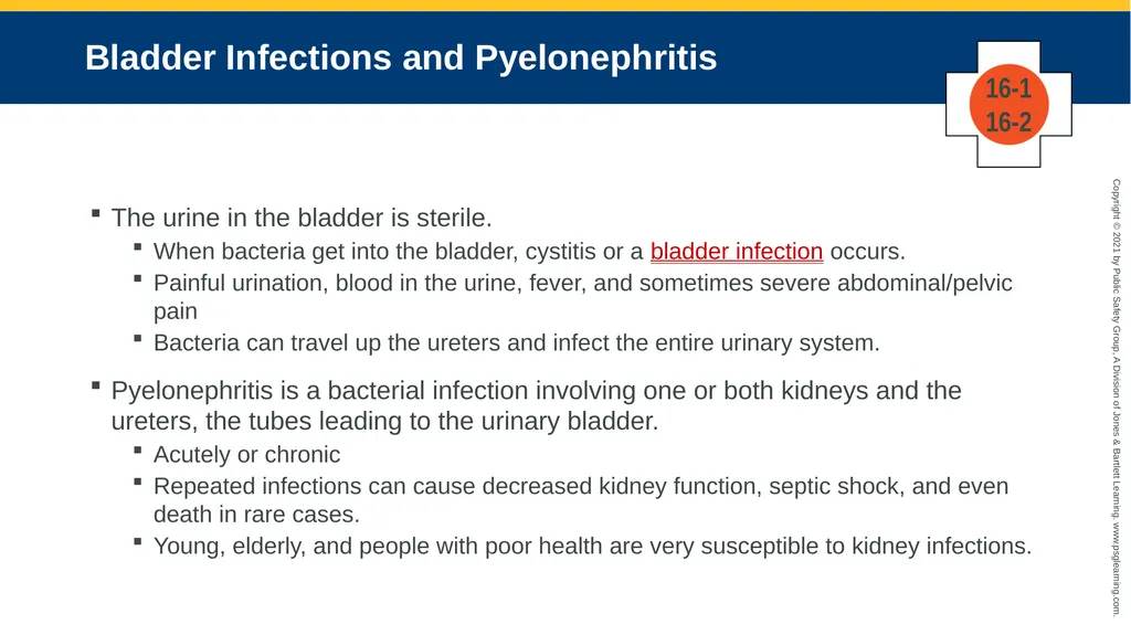CHAPTER 16 Gastrointestinal, Genitourinary, and - slide 31 of 74