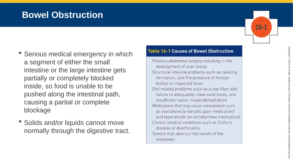 CHAPTER 16 Gastrointestinal, Genitourinary, and - slide 35 of 74