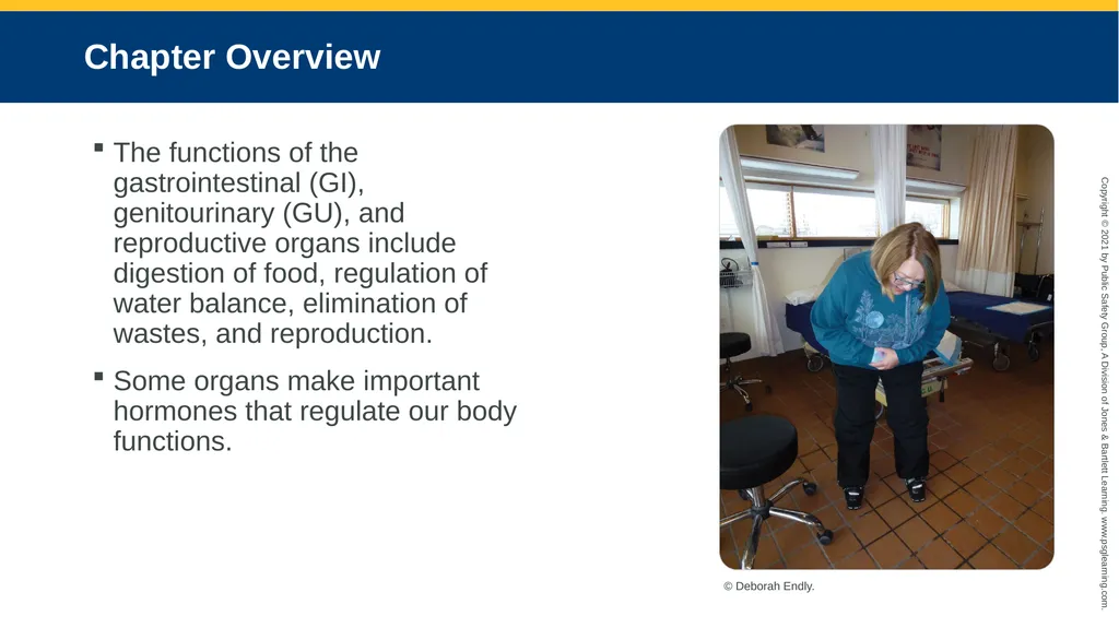 CHAPTER 16 Gastrointestinal, Genitourinary, and - slide 6 of 74