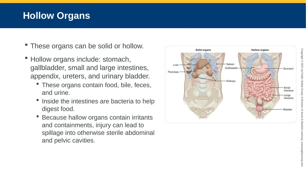 CHAPTER 16 Gastrointestinal, Genitourinary, and - slide 11 of 74