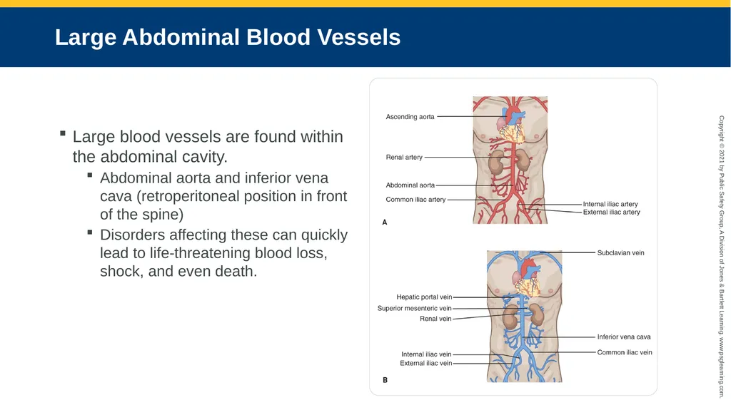 CHAPTER 16 Gastrointestinal, Genitourinary, and - slide 14 of 74
