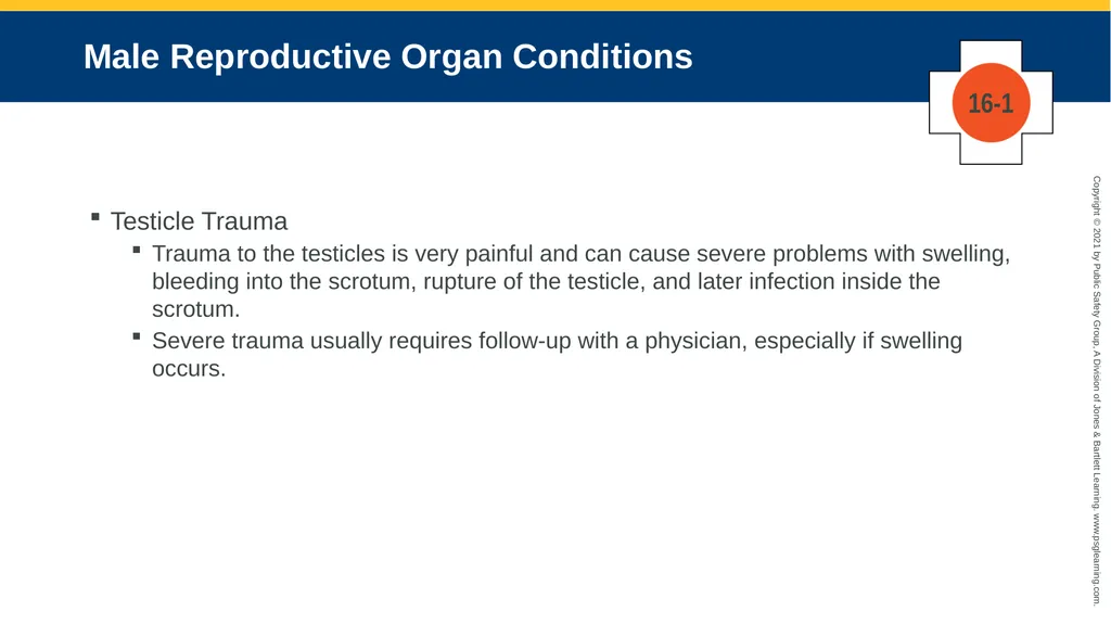CHAPTER 16 Gastrointestinal, Genitourinary, and - slide 50 of 74