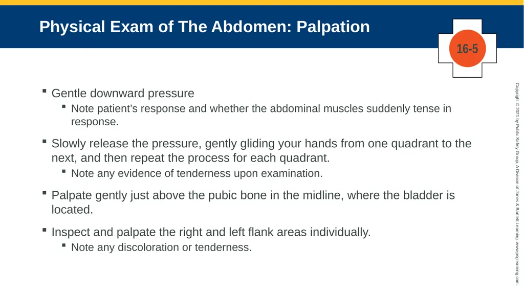 CHAPTER 16 Gastrointestinal, Genitourinary, and - slide 64 of 74