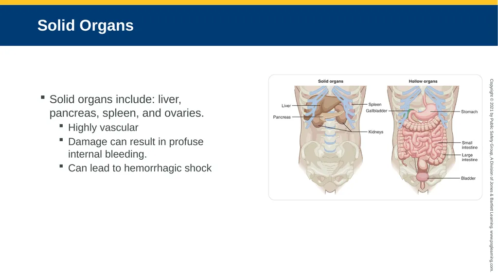 CHAPTER 16 Gastrointestinal, Genitourinary, and - slide 12 of 74