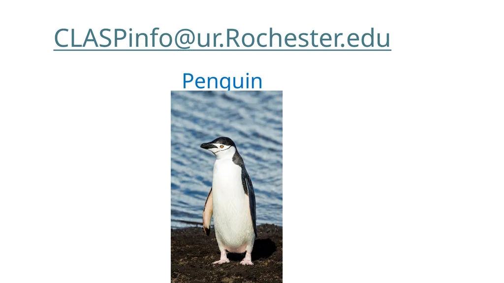 Continuous Learning for Administrators of - slide 45 of 45