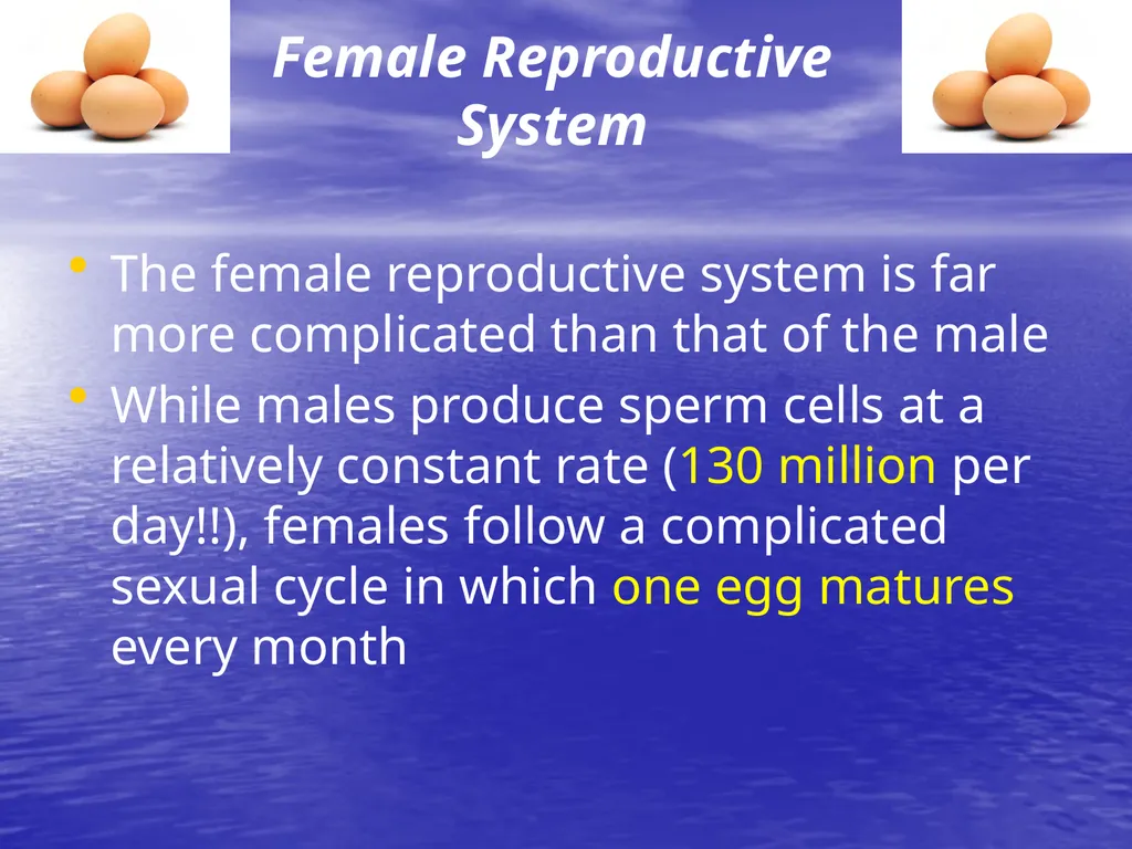 10.7 Reproductive Hormones Learning Goals To - slide 9 of 21