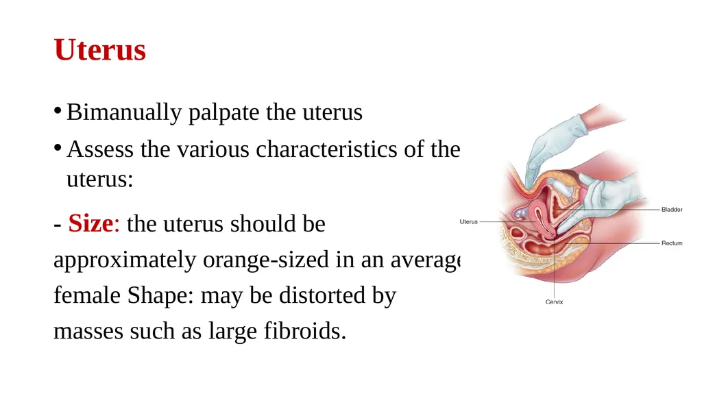 Bimanual pelvic examination Prepared by: Shaimaa - slide 17 of 22