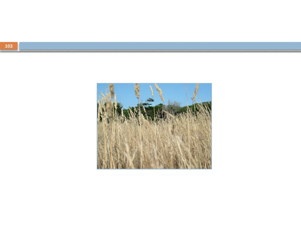Developing and Writing Effective Documents - slide 103 of 193