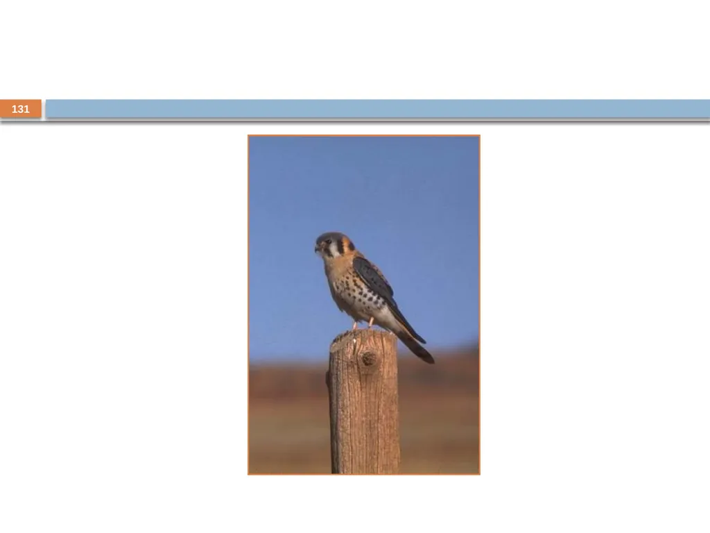 Developing and Writing Effective Documents - slide 131 of 193
