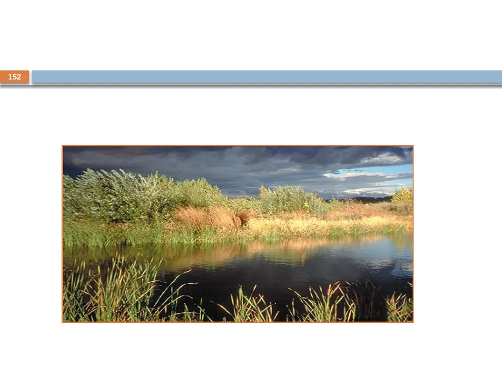 Developing and Writing Effective Documents - slide 152 of 193