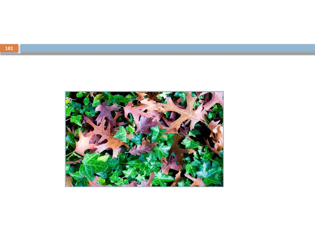 Developing and Writing Effective Documents - slide 181 of 193