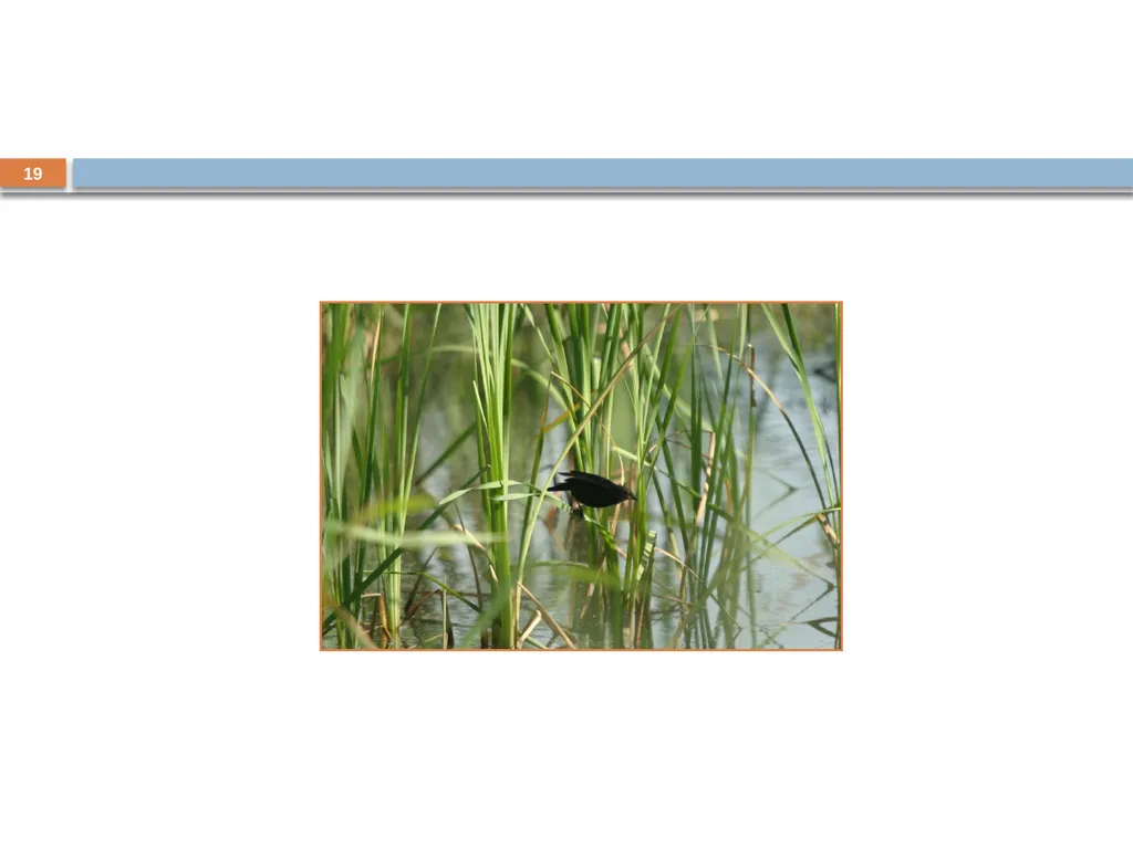 Developing and Writing Effective Documents - slide 19 of 193