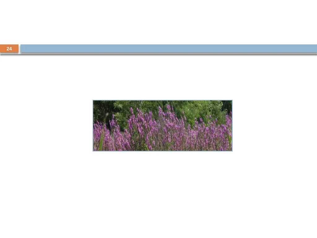 Developing and Writing Effective Documents - slide 24 of 193