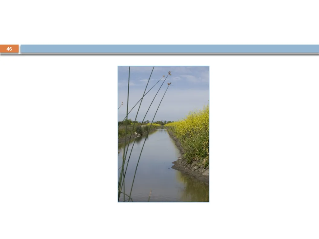 Developing and Writing Effective Documents - slide 46 of 193