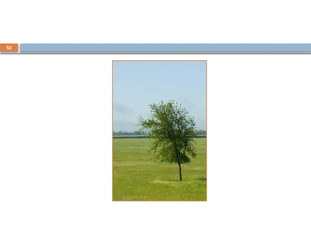 Developing and Writing Effective Documents - slide 52 of 193