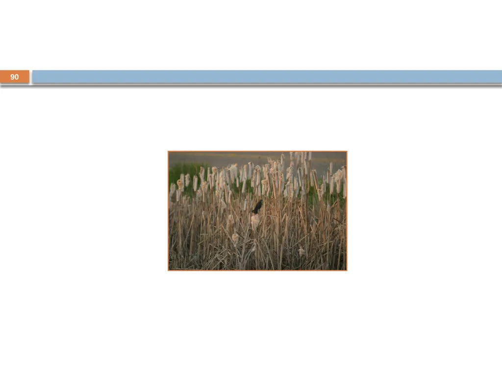 Developing and Writing Effective Documents - slide 90 of 193