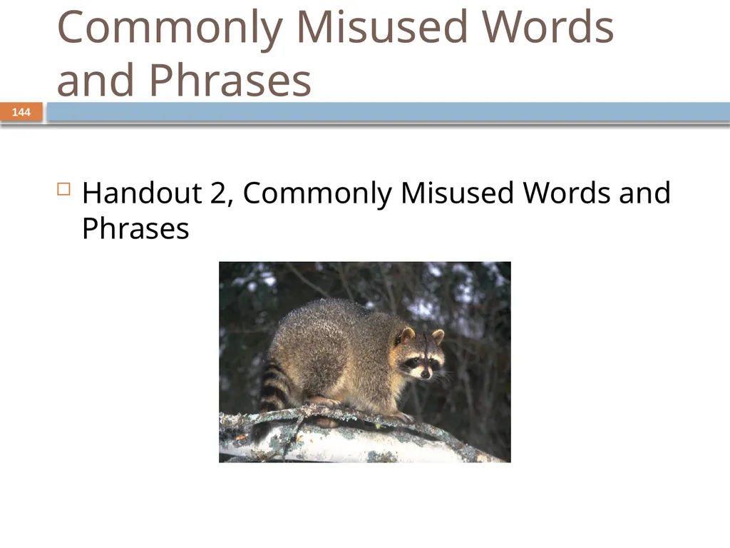 Developing and Writing Effective Documents - slide 144 of 193