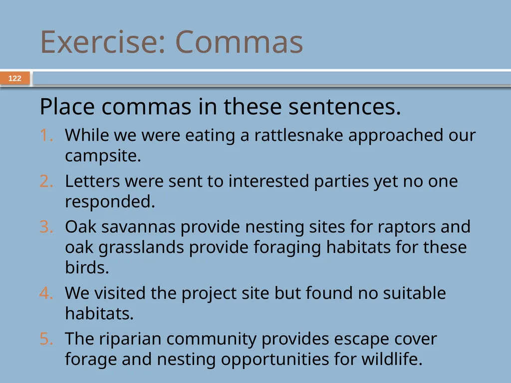 Developing and Writing Effective Documents - slide 122 of 193