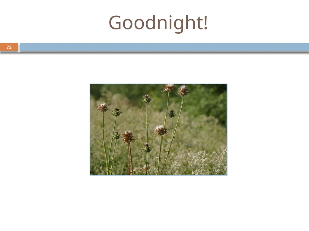 Developing and Writing Effective Documents - slide 72 of 193