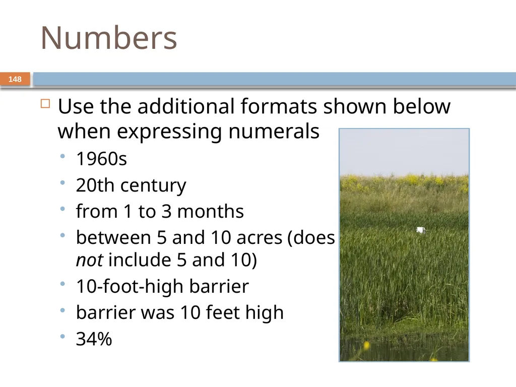 Developing and Writing Effective Documents - slide 148 of 193