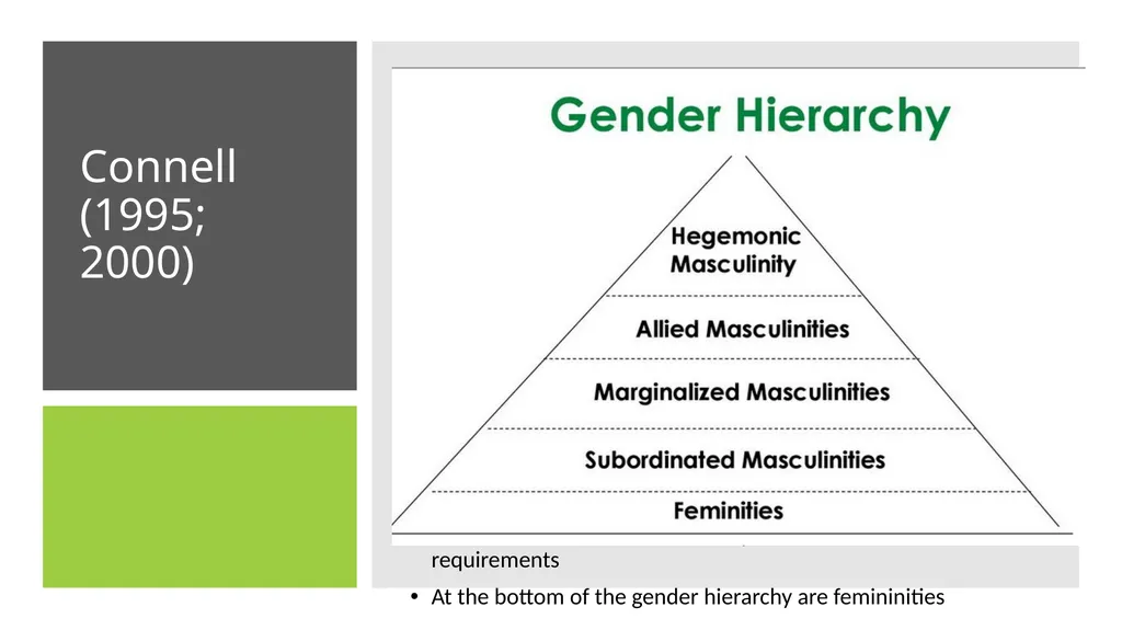 INTRODUCTION TO MASCULINITIES STUDIES Masculinity - slide 24 of 30