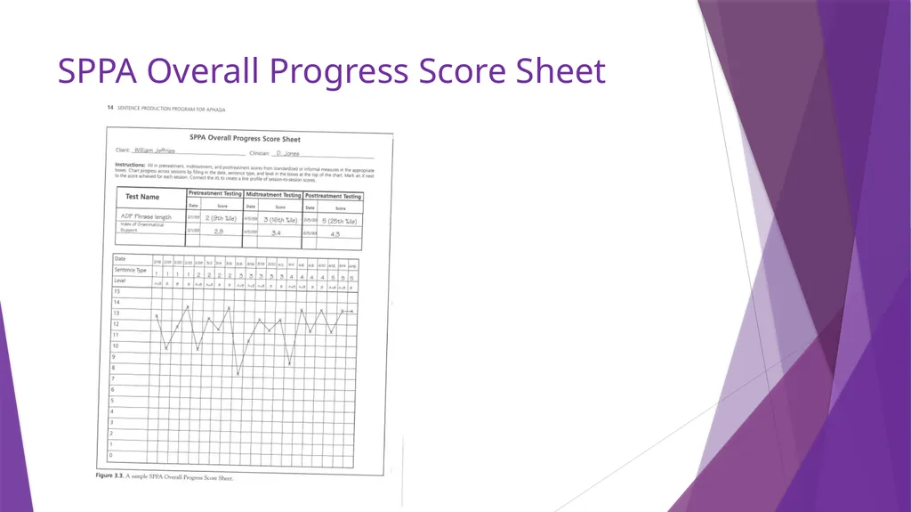 Sentence Production Program for Aphasia (SPPA) - slide 10 of 21