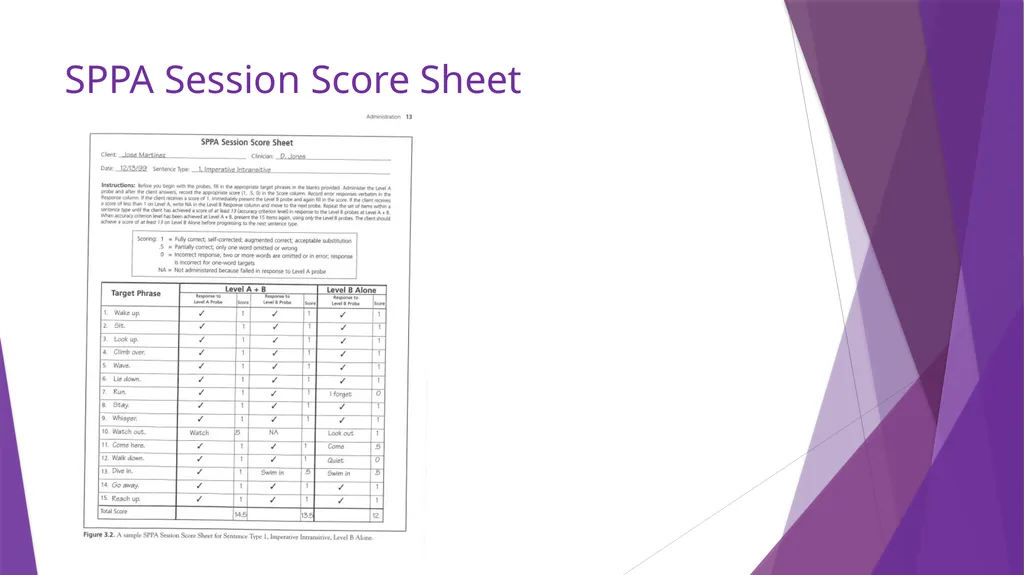 Sentence Production Program for Aphasia (SPPA) - slide 9 of 21