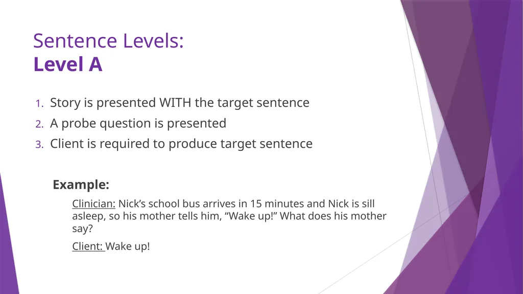 Sentence Production Program for Aphasia (SPPA) - slide 13 of 21